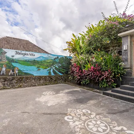 3 Beagles Villa